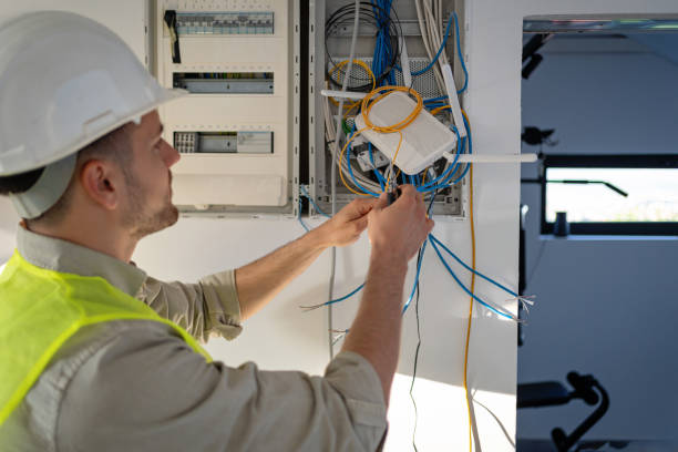 Best Electric Panel Repair  in The Hills, NJ